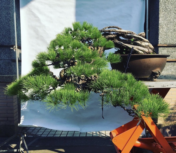 S__142663695.jpg?ph=ceeeb2be93