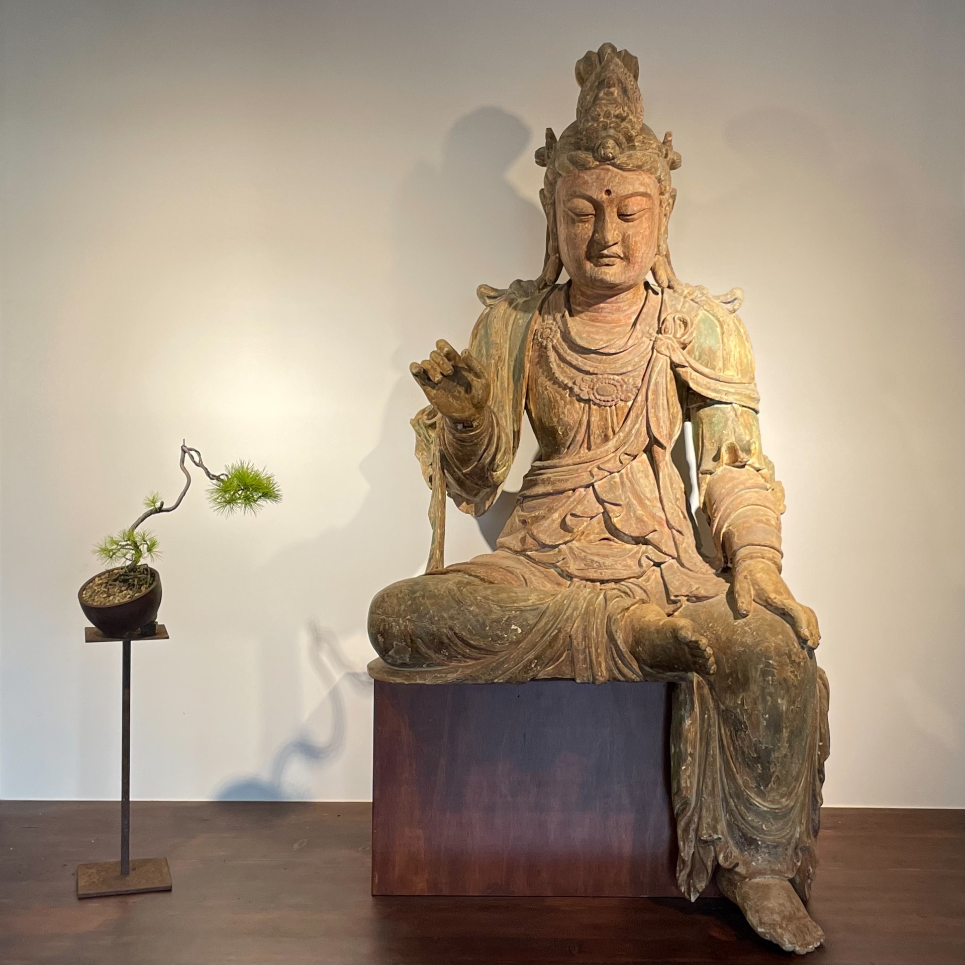 五葉松文人小品:: 七代園盆栽美術舘